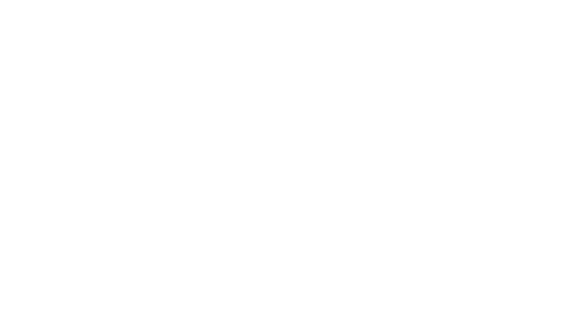 Logo Description